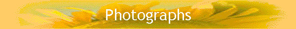 Photographs