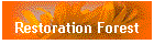 Restoration Forest